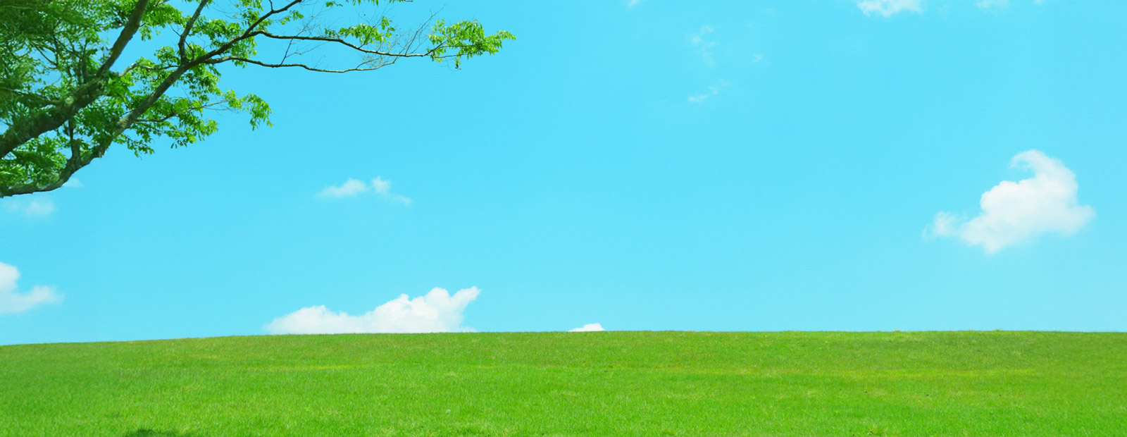 キービジュアルイメージ01